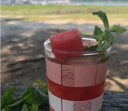 glass of watermelon cooler with a watermelon and mint garnish on a picnic table