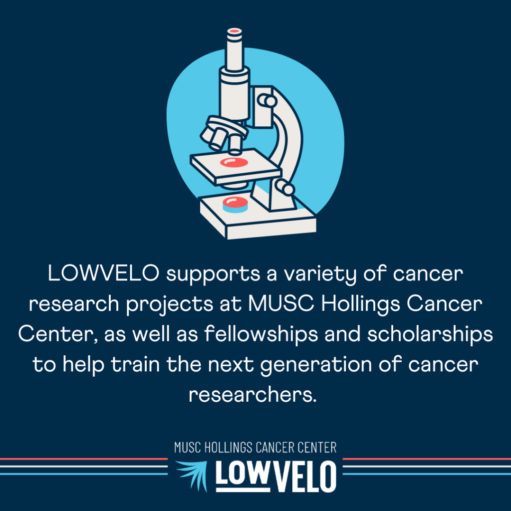 graphic that says Lowvelo supports cancer research at Hollings Cancer Center