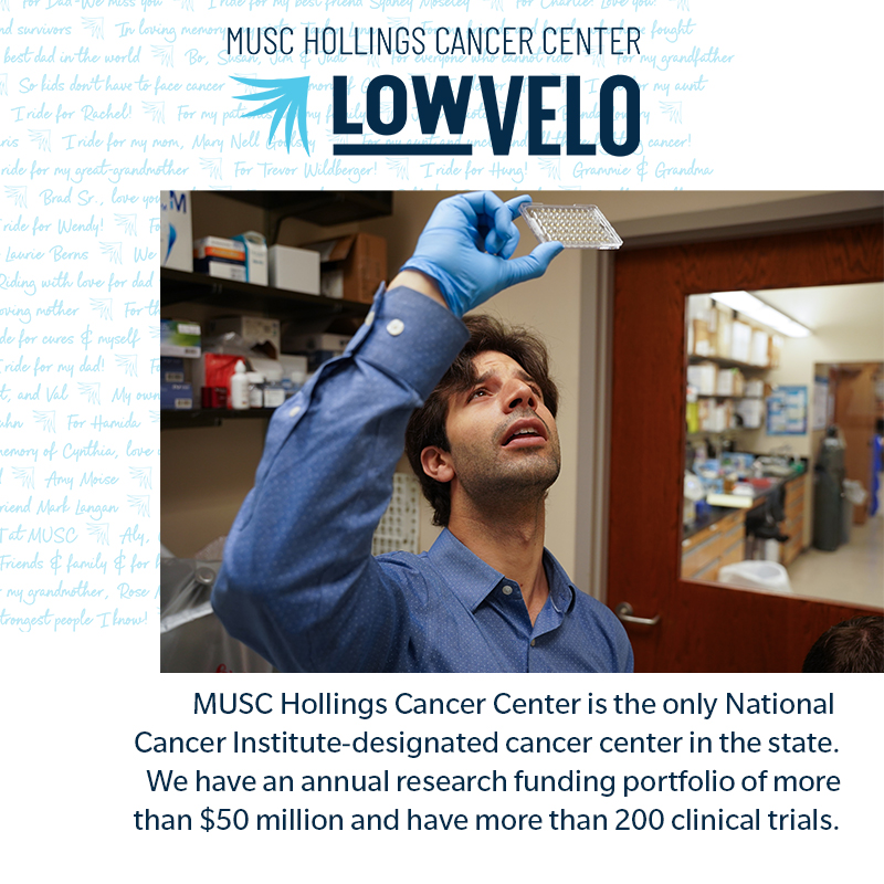 graphic that talks about Hollings being an NCI-designated Cancer Center